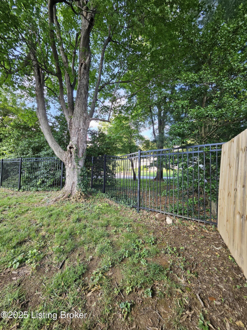 Listing Image 72
