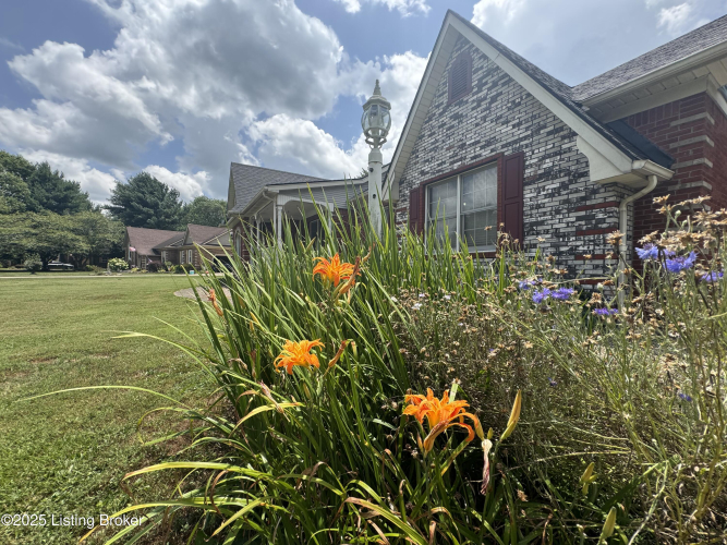 Listing Image 56