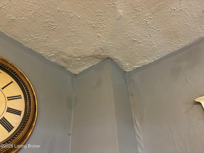 Listing Image 27