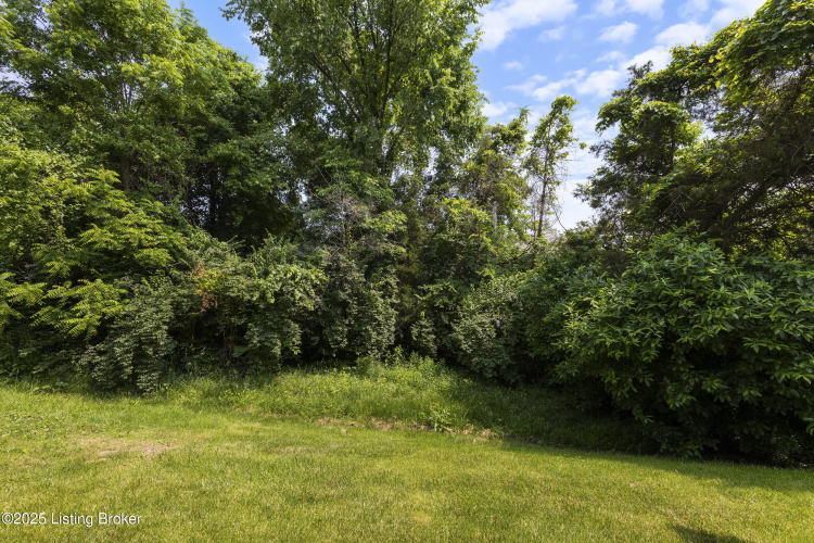Listing Image 29