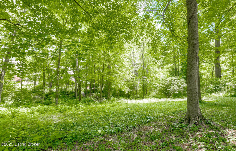 Listing Image 54
