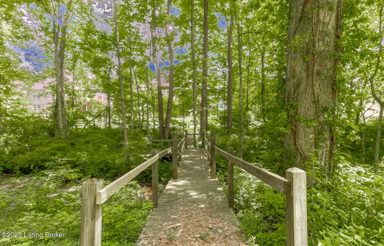 Listing Image 55