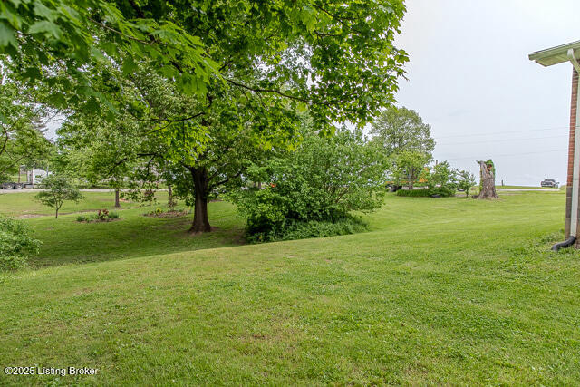 Listing Image 50