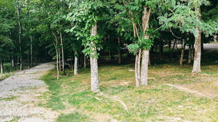 Listing Image 105