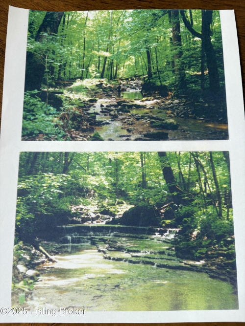 Listing Image 85