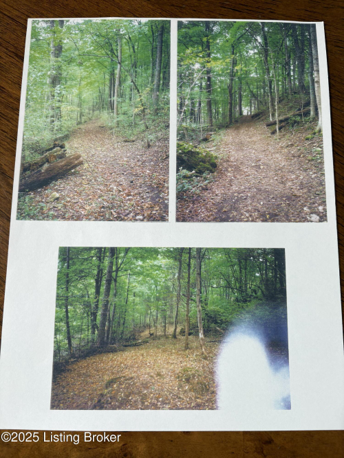 Listing Image 86