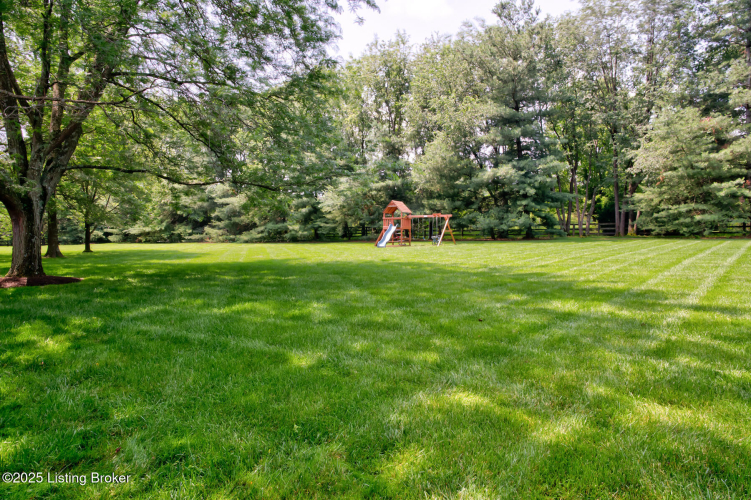 Listing Image 49
