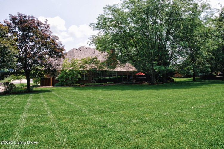 Listing Image 50