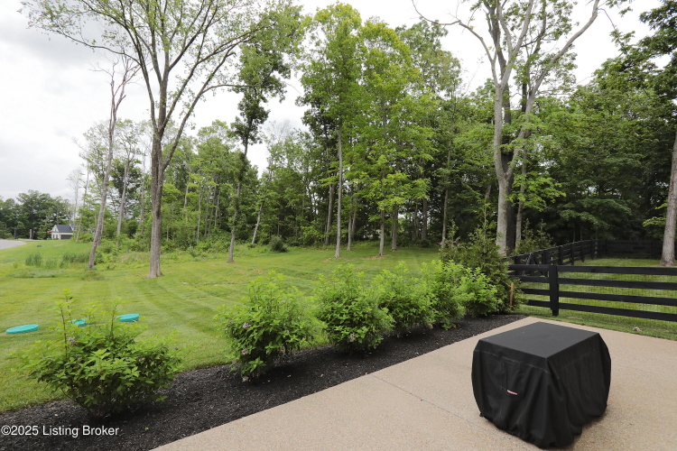 Listing Image 97