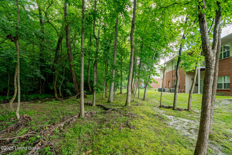 Listing Image 28