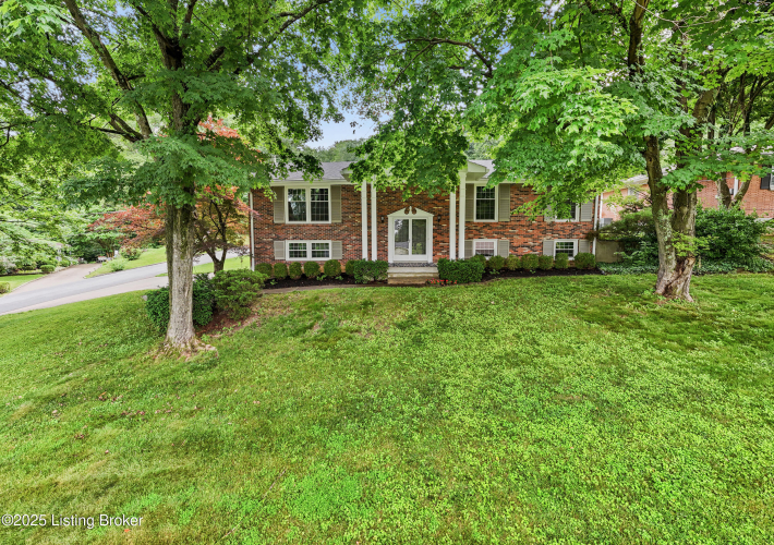 Listing Image 49