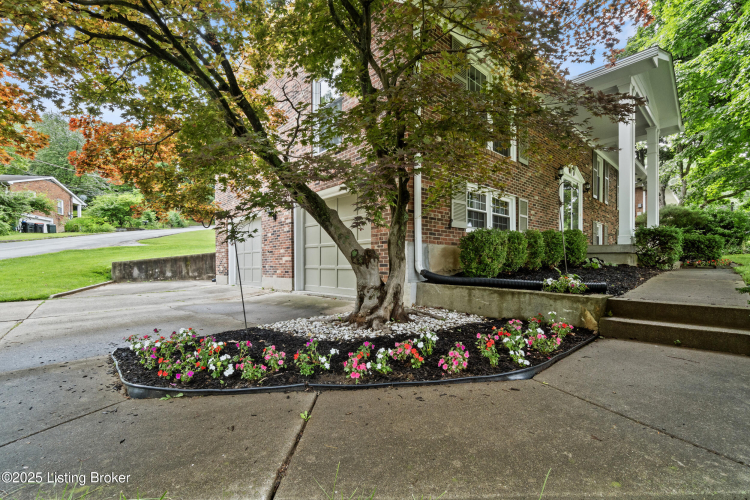 Listing Image 52