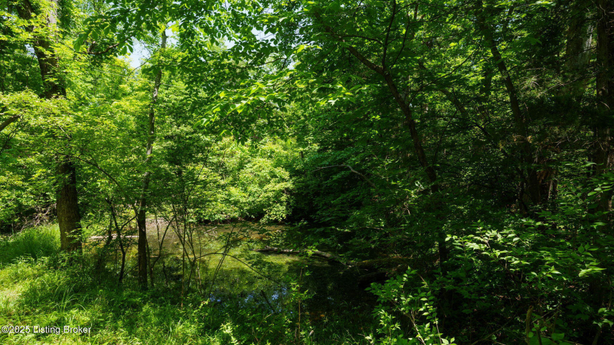 Listing Image 43