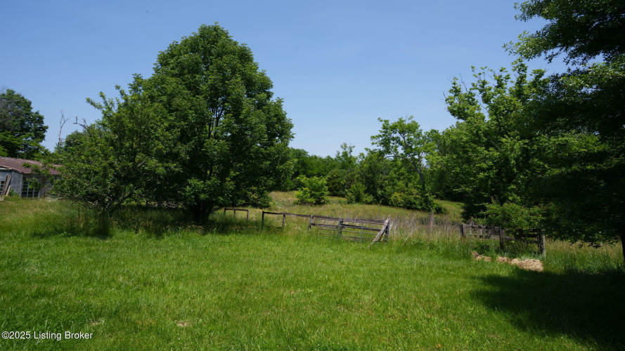 Listing Image 45