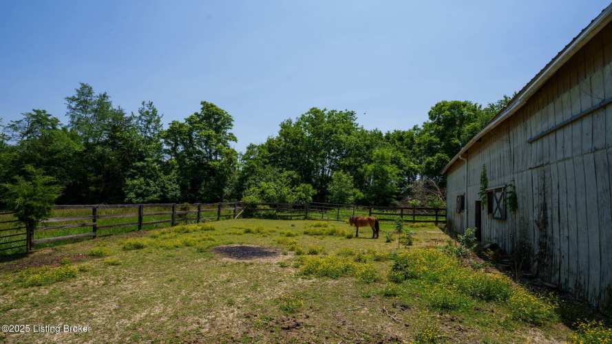 Listing Image 59