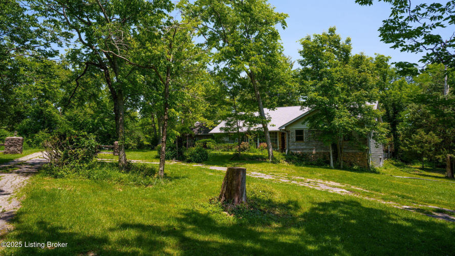 Listing Image 73