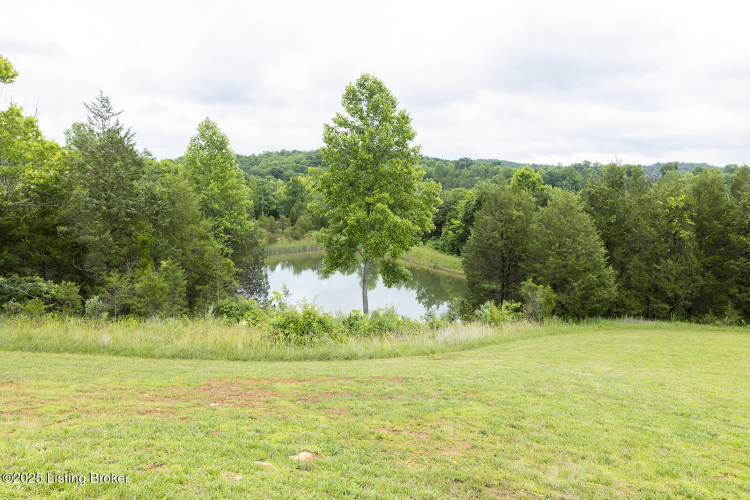 Listing Image 47