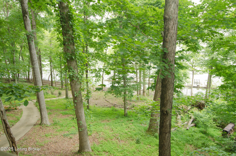 Listing Image 51