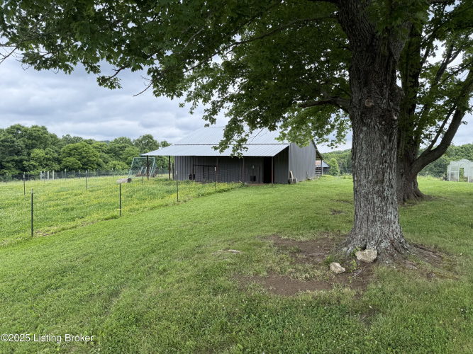 Listing Image 11