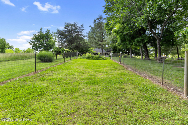 Listing Image 113