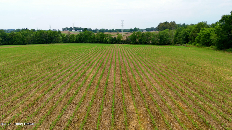 Listing Image 29