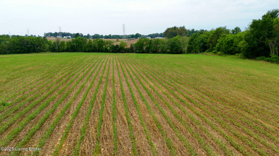 Listing Image 30