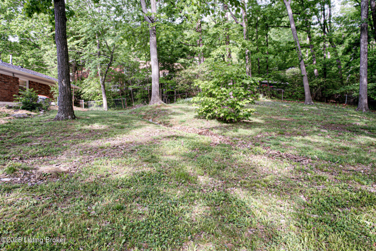 Listing Image 46