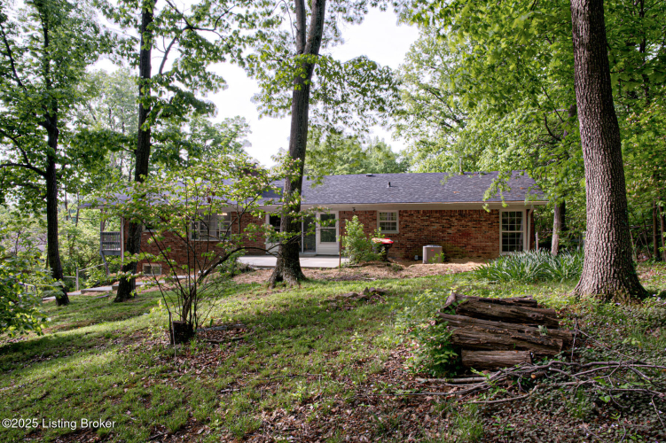 Listing Image 48