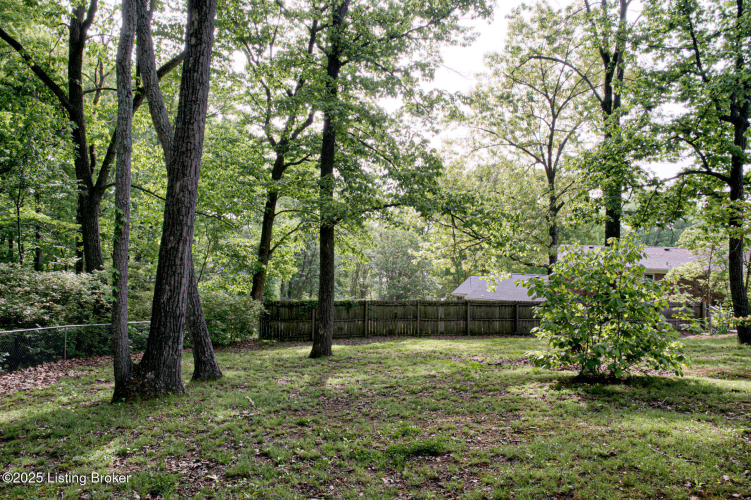 Listing Image 49