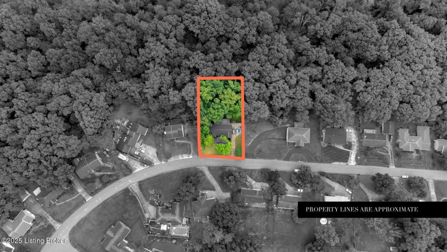 Listing Image 48