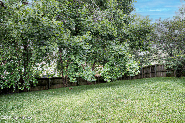Listing Image 28