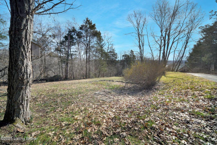 Listing Image 48