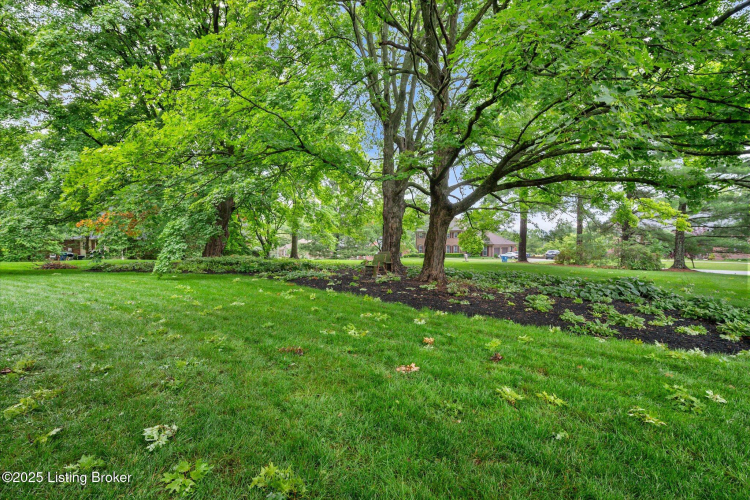 Listing Image 50
