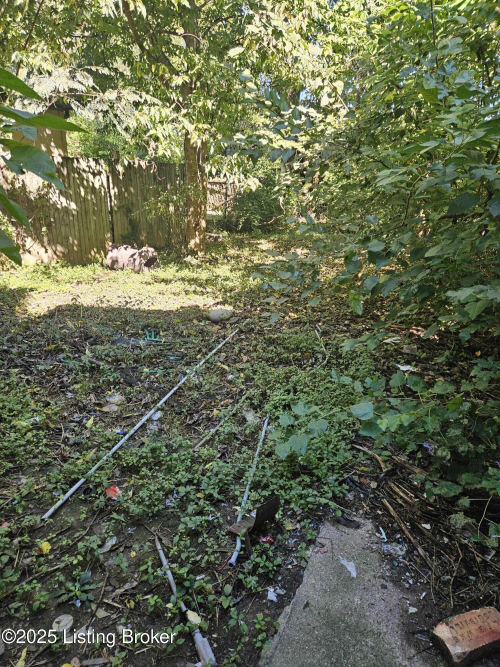 Listing Image 15