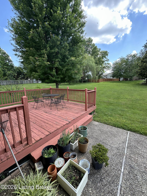 Listing Image 10
