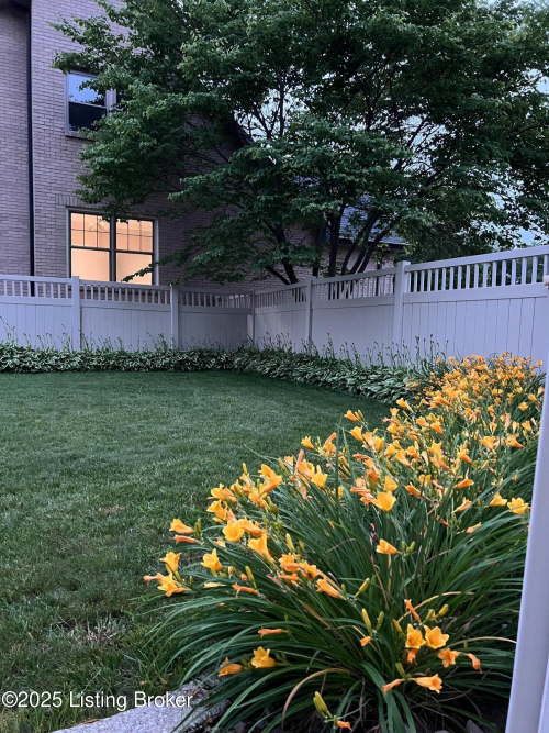 Listing Image 74