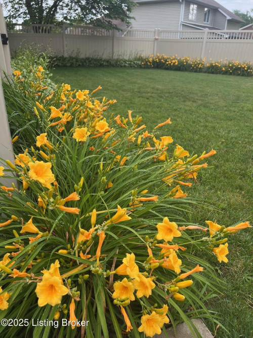 Listing Image 75