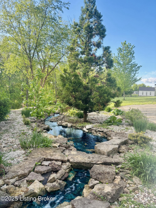 Listing Image 47