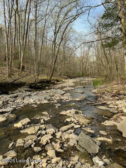 Listing Image 94