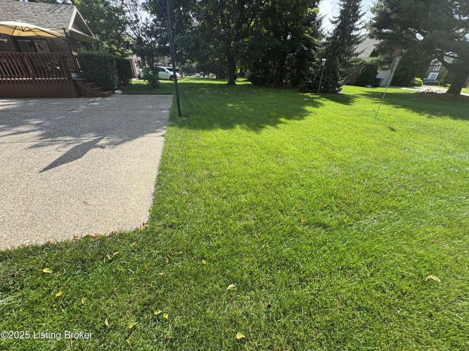 Listing Image 50