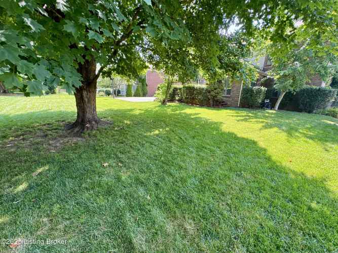 Listing Image 51
