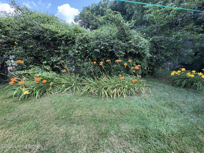 Listing Image 37