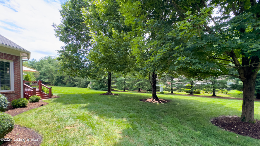 Listing Image 74
