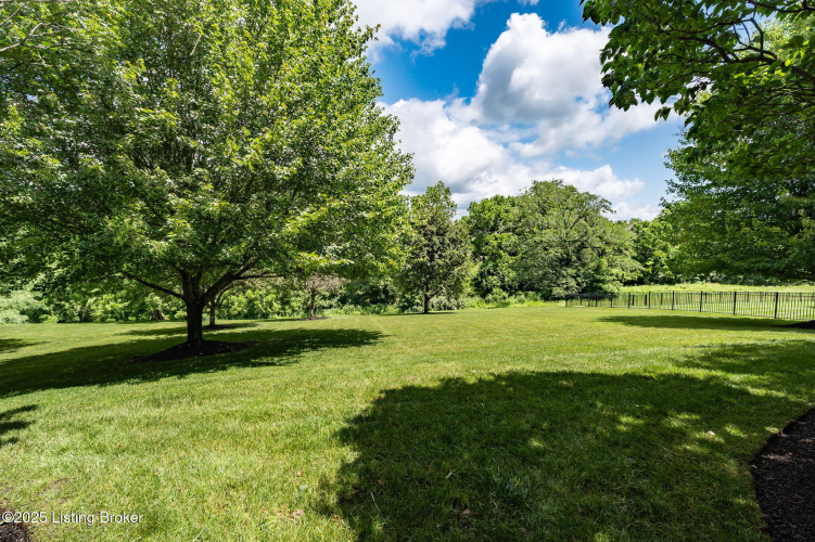 Listing Image 88