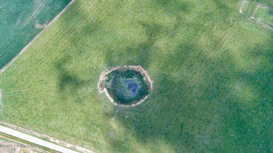 Listing Image 85