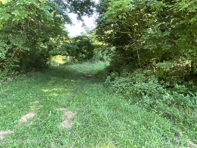 Listing Image 34