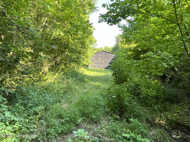 Listing Image 35