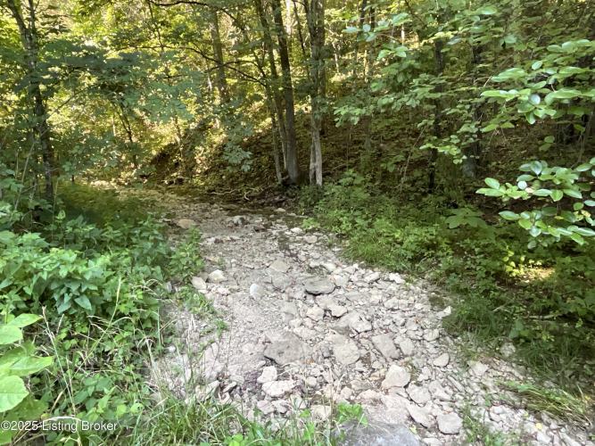 Listing Image 37