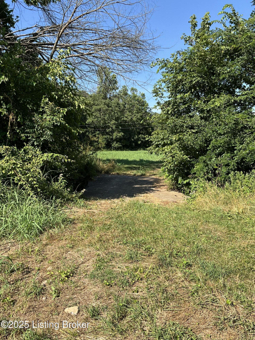 Listing Image 38