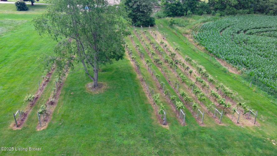 Listing Image 73